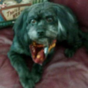 Meet your Posher, Candy